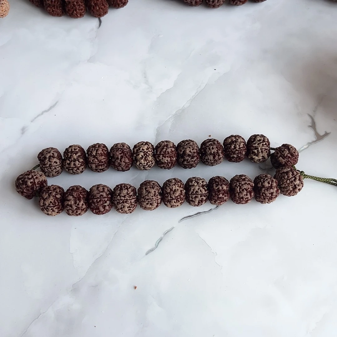 金刚菩提手串野***奇五星4号