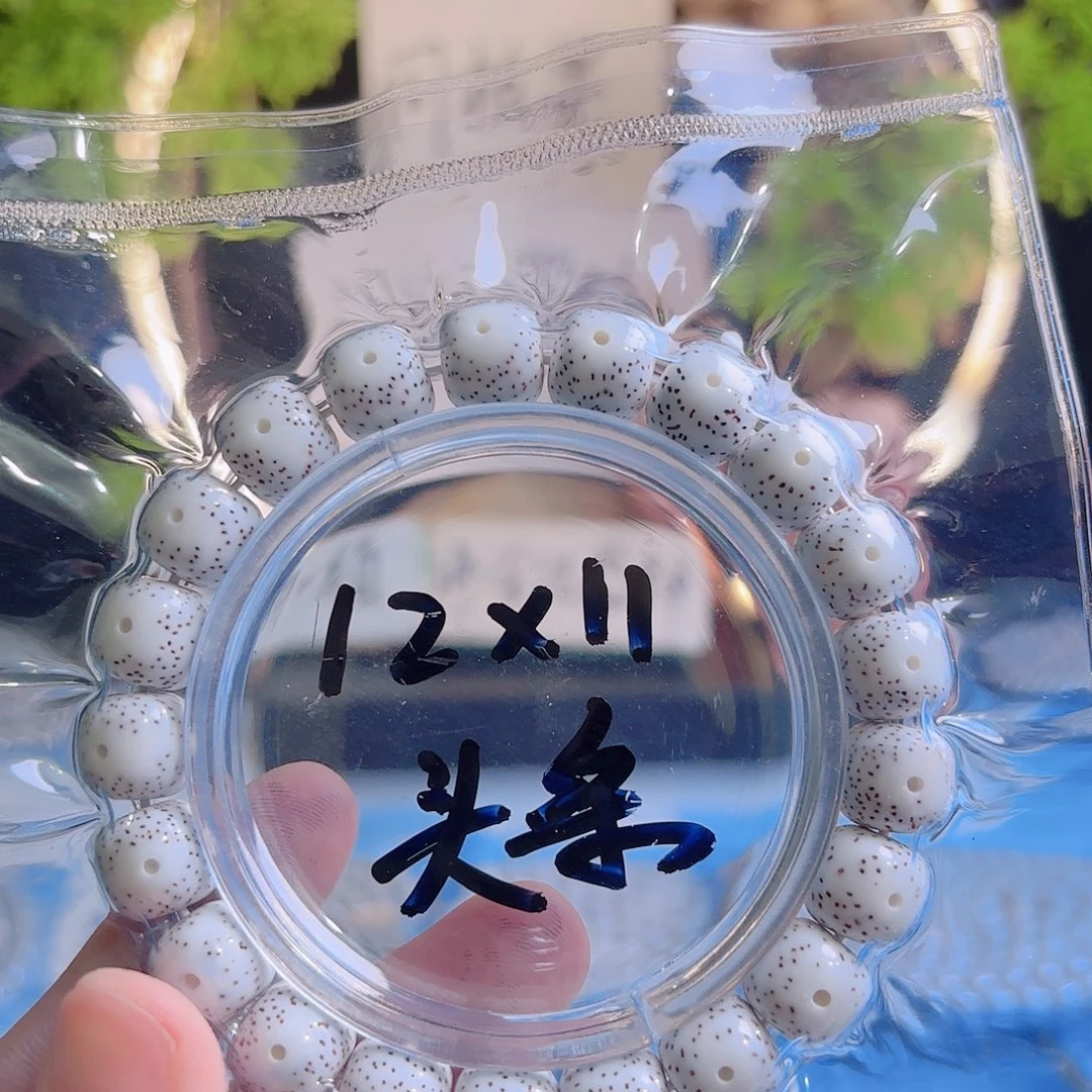 华***～吊坠菩提根/象牙果