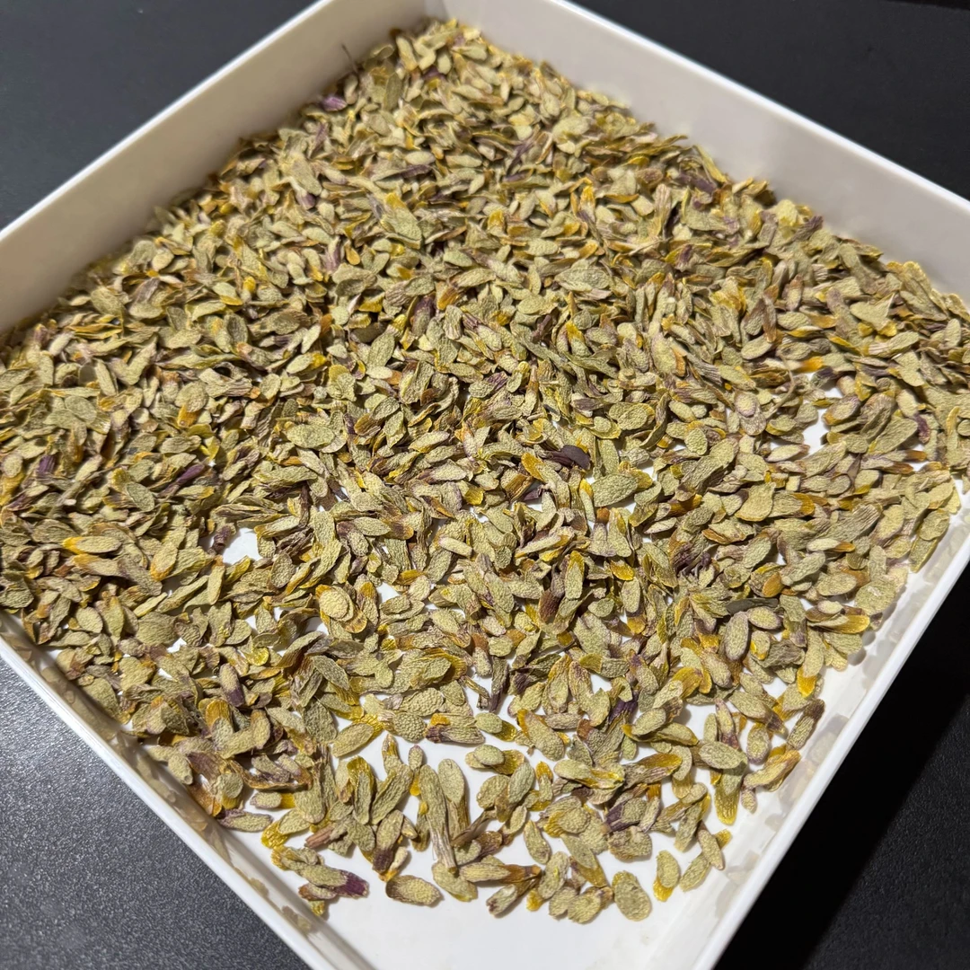 紫芽石斛片胶质丰富