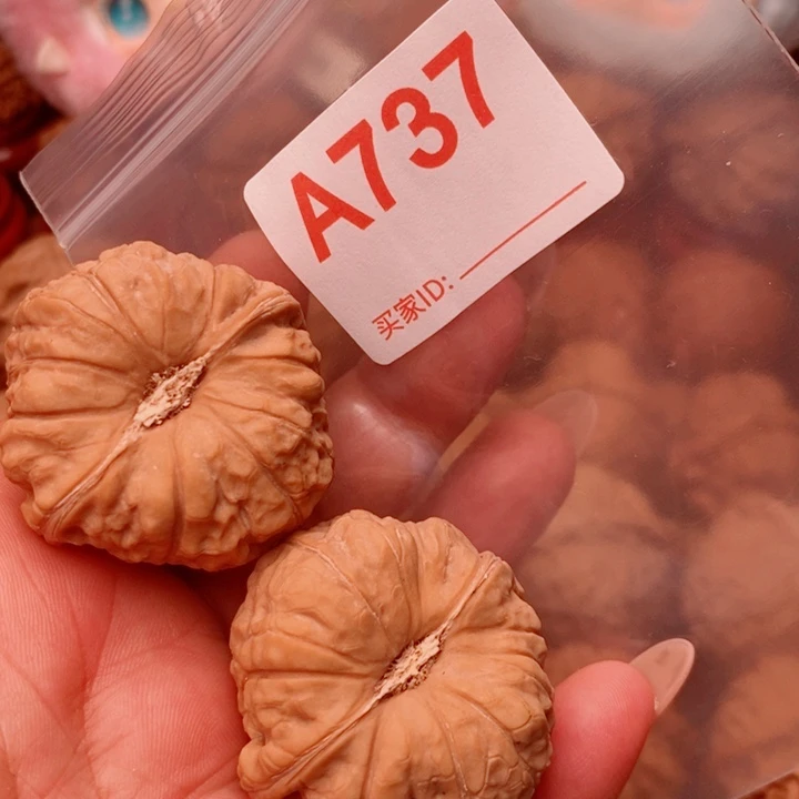 南瓜墩42尺737号123