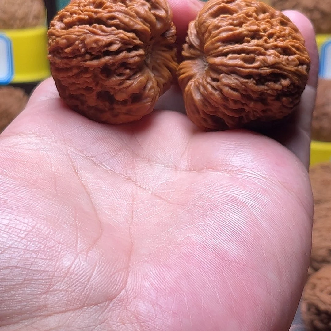 文玩核桃把件薄**林团子