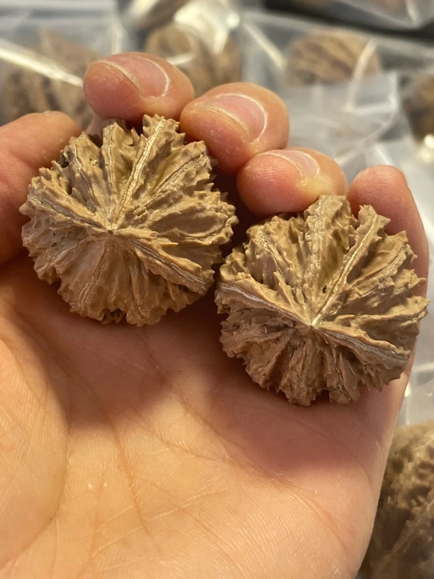 秦岭野生三楞灯笼核桃30到32小手捻随机一对