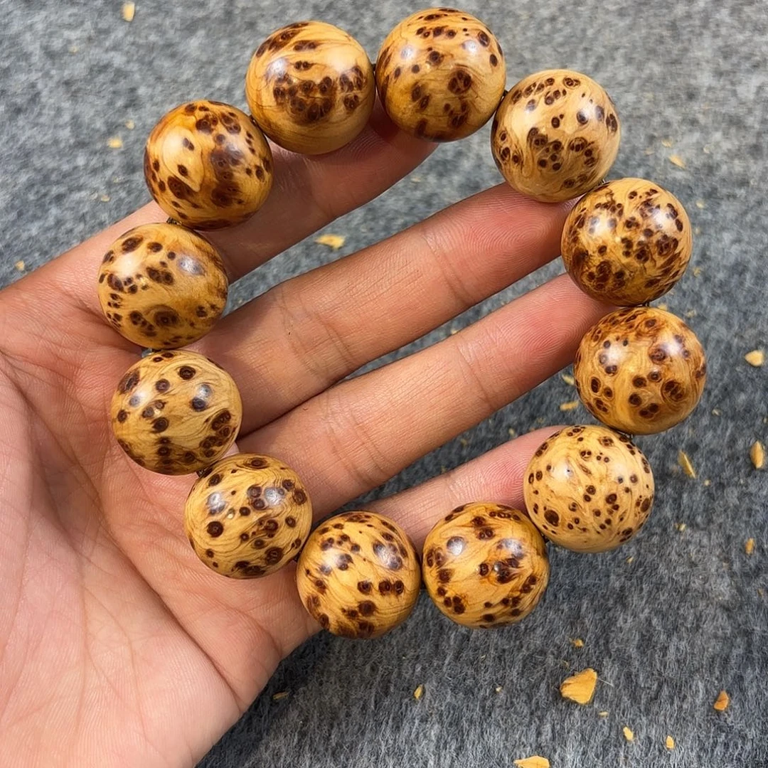 崖柏太行崖柏爆满2.0（保证太行）