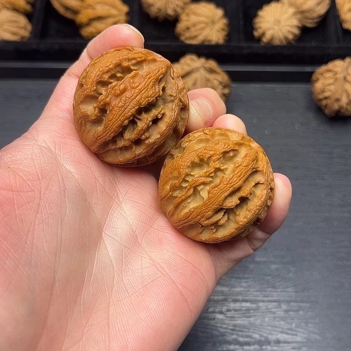 核桃突突突突突突突突