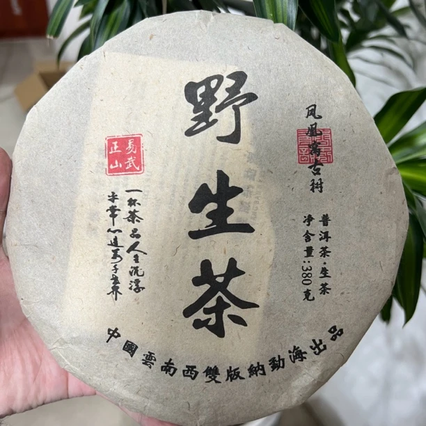 2003年易武凤凰窝野生茶生茶一饼
