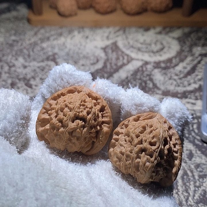 桃核吊坠白狮子40尺