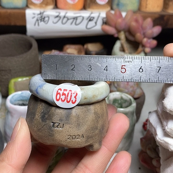 红陶拍5送一个小