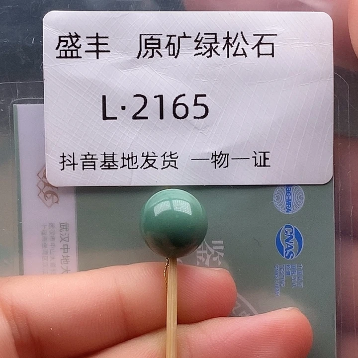绿松石未镶嵌珠宝奇石11.7