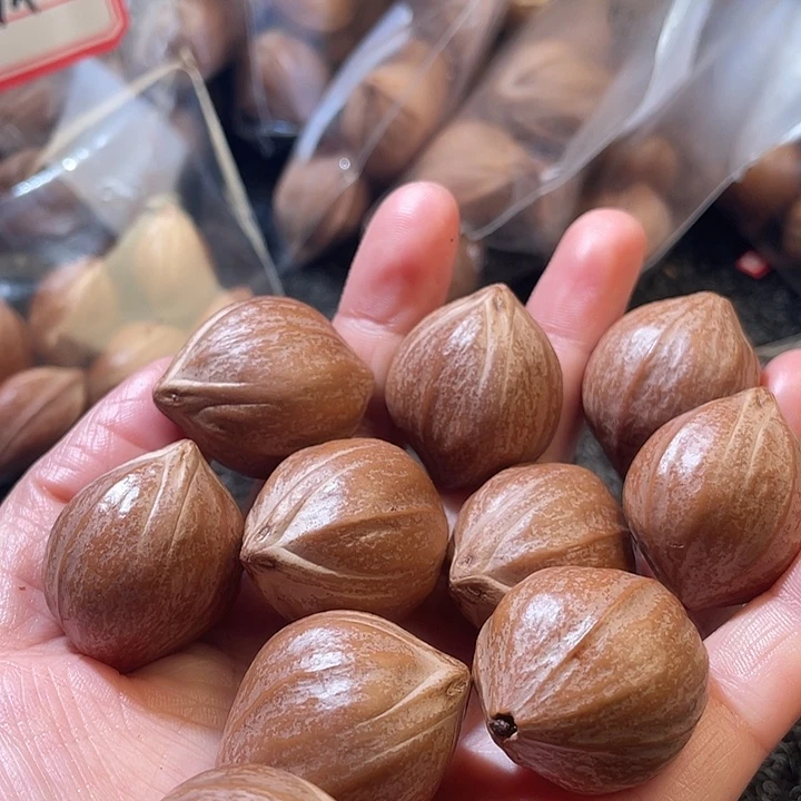 十***橄榄核吊坠2:5✖️3.0