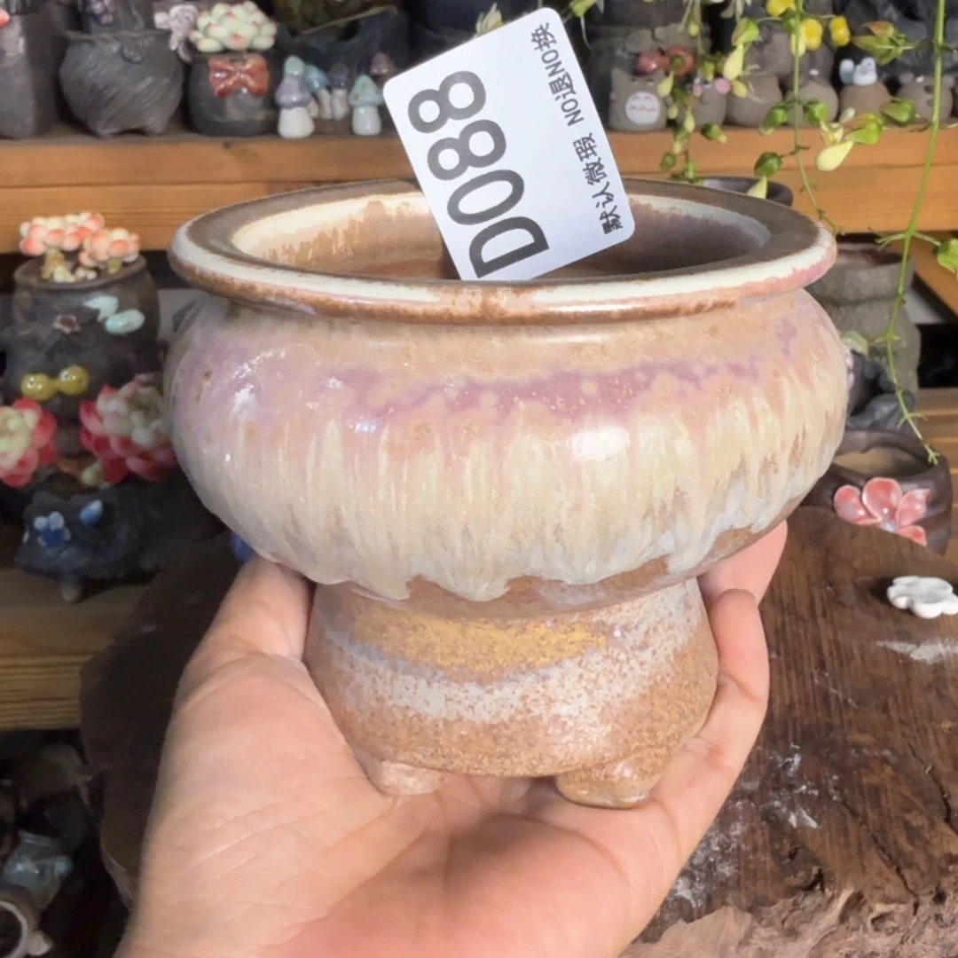 重庆小燕子欢迎大家088