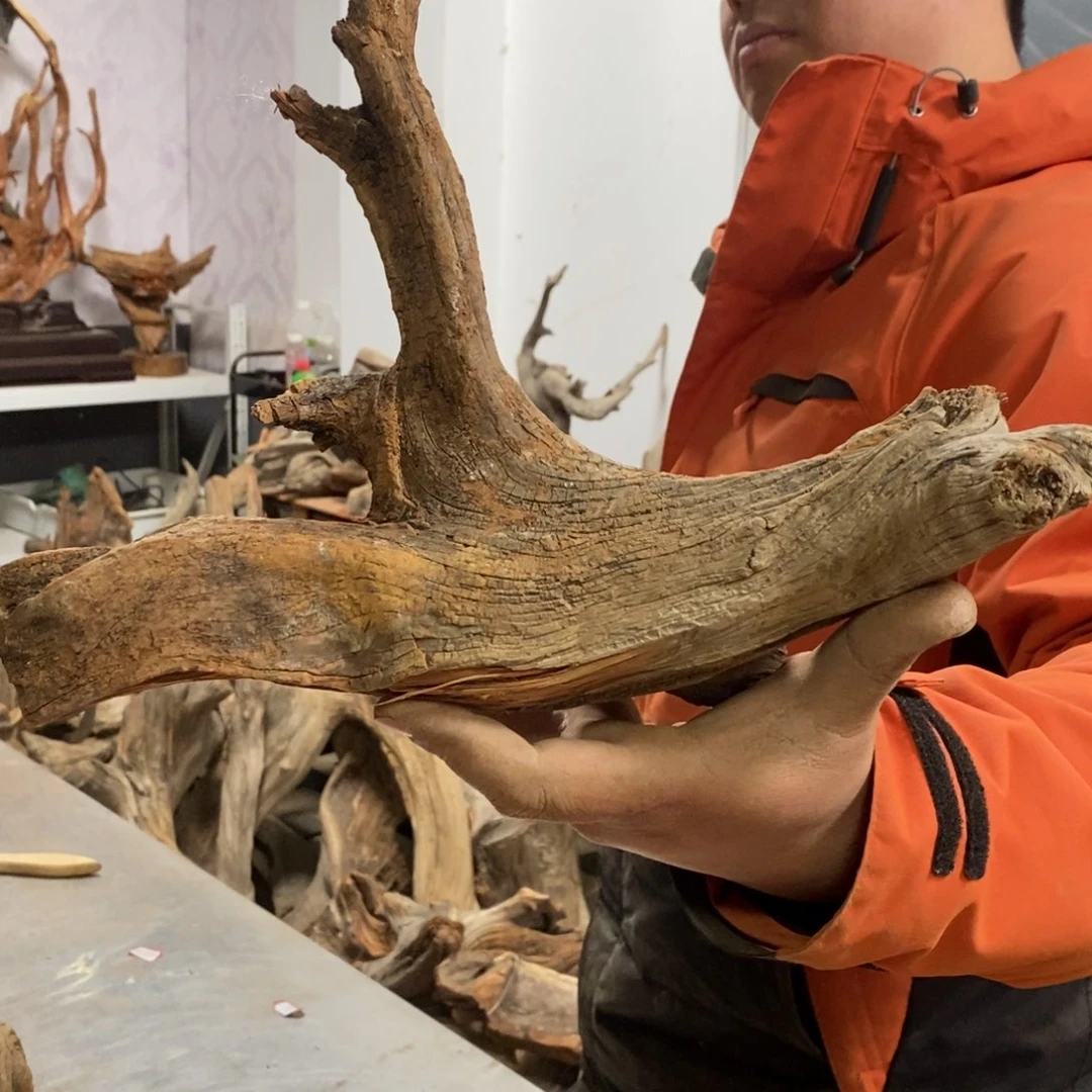 柏木古**香我们都是好孩子