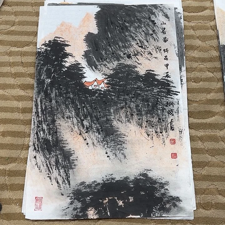 国画花鸟的翅膀和翅膀70.45