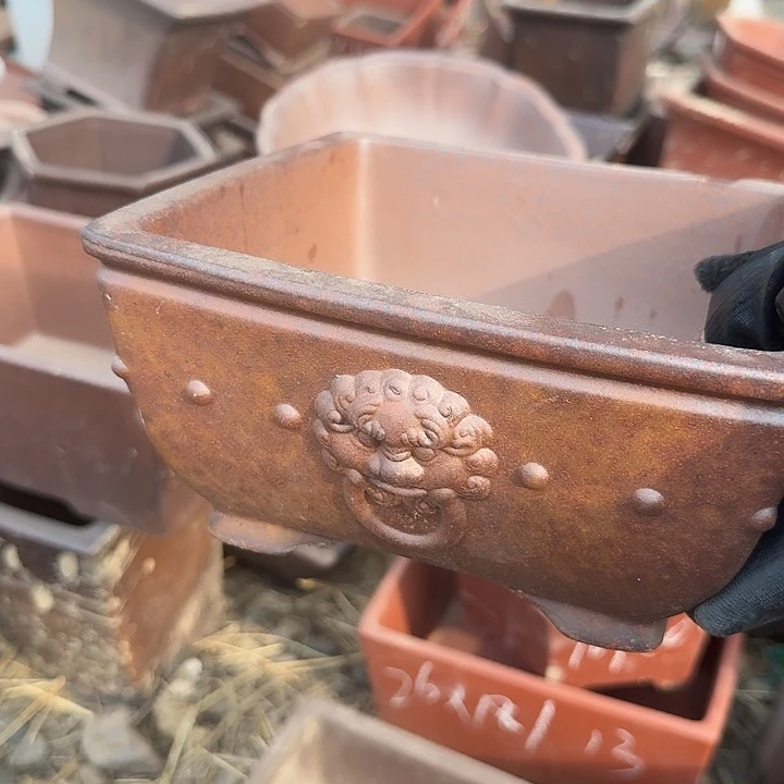 紫砂之光和青石也将迎奥运