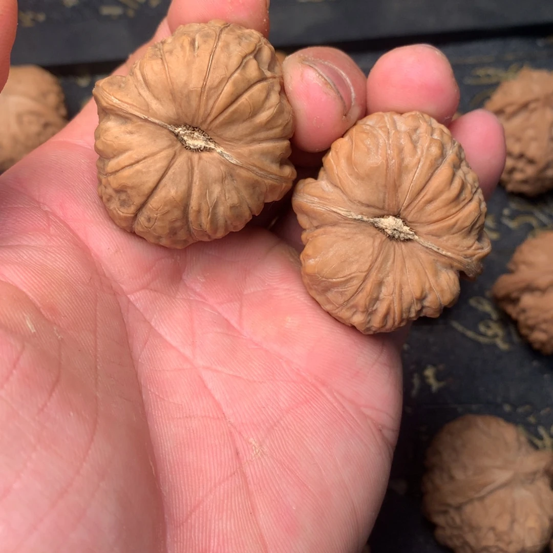 猴头核桃吊坠文玩核桃南瓜敦40