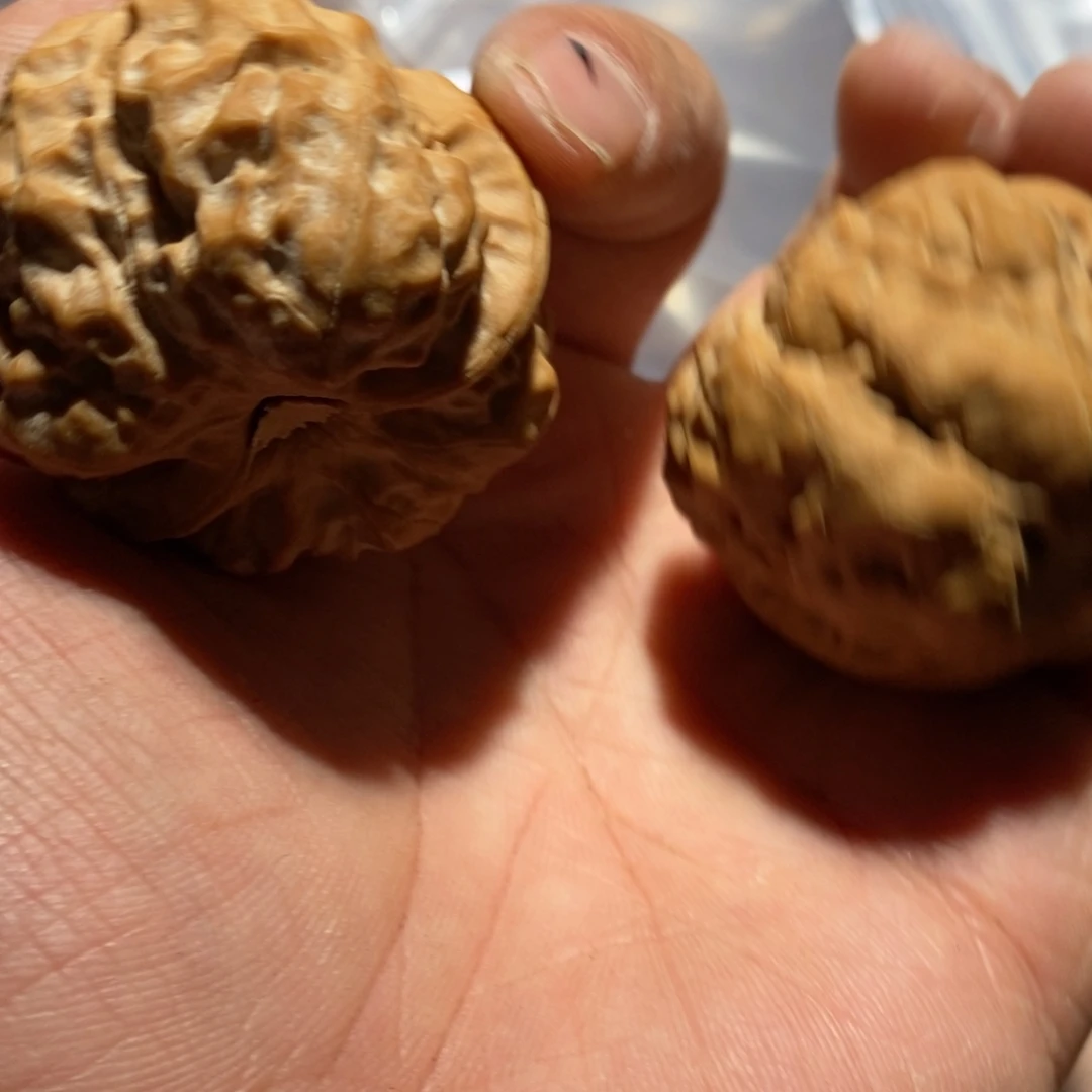 核桃手串/手链406