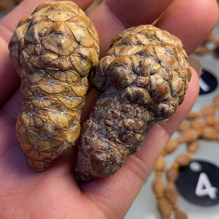 文玩核桃吊坠拿姐工艺124