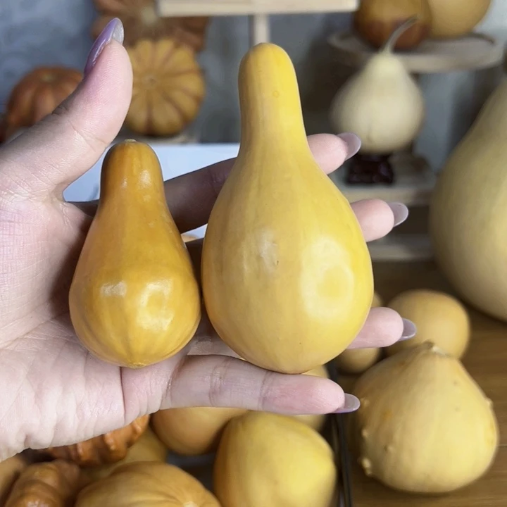 葫芦中国大陆你****?