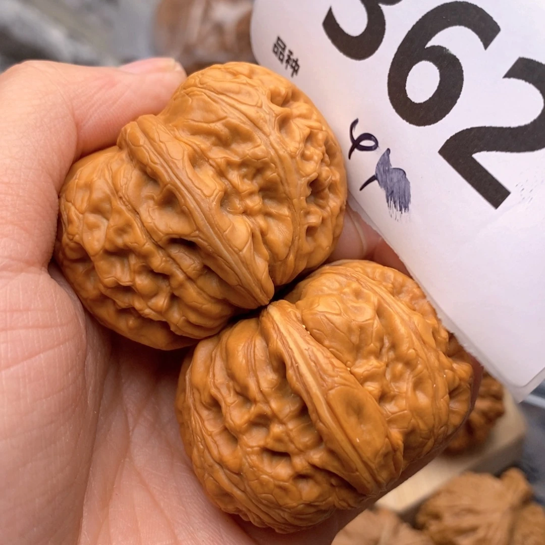 文玩核桃把件362号44元宝