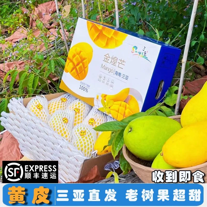 【顺丰包邮】树上熟海南金煌芒水果新鲜芒果水仙现摘当季纸壳芒整箱