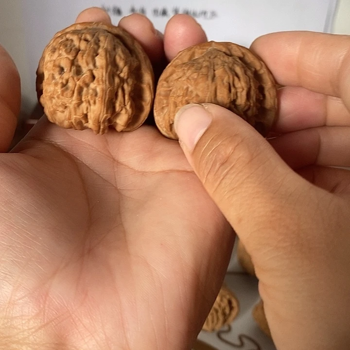 43尺白狮子尖有点微修