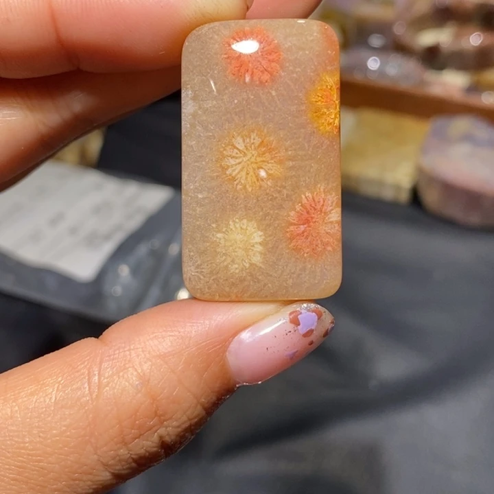 【闪购商品】未镶嵌珊瑚玉硅化玉