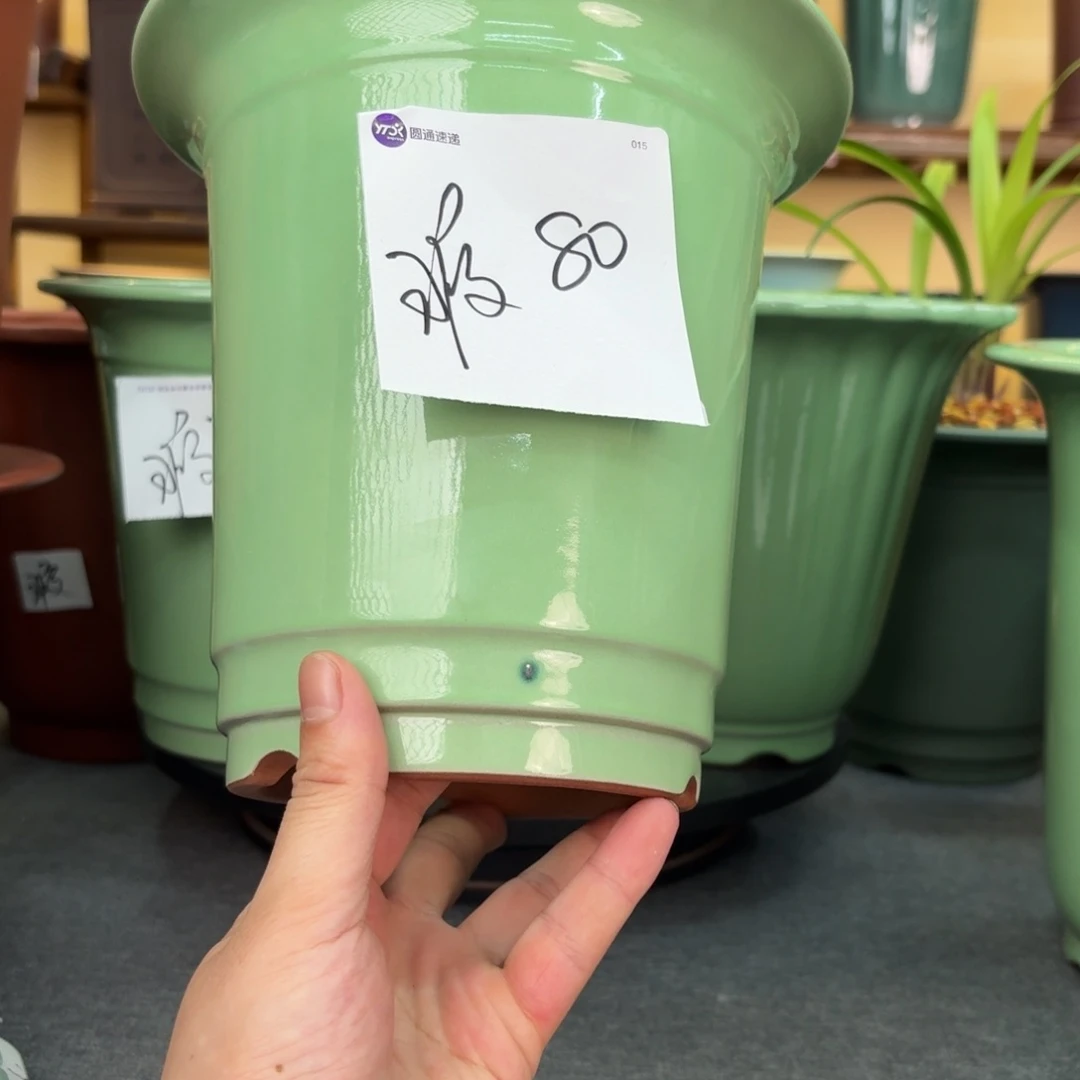 张***亮紫砂花盆4566655665856555
