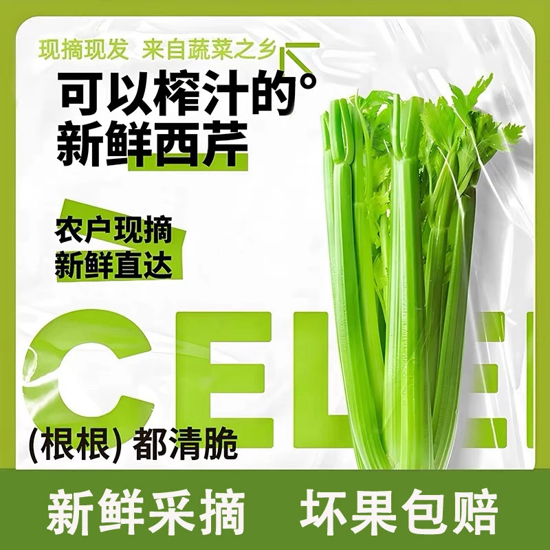 【顺丰冷链】新鲜现挖水果西芹脆嫩多汁可生吃榨汁