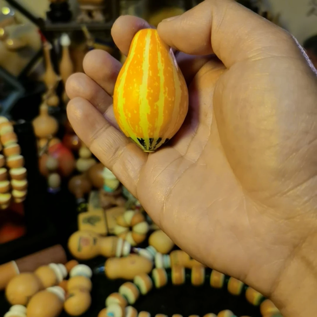 ?**?墨西哥玉美人，天天开心快乐