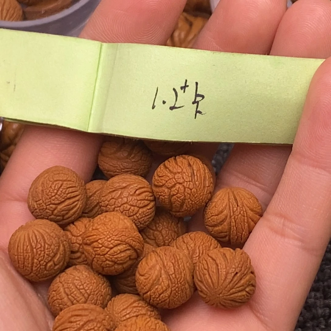 秦岭山脉龙纹桃核 20