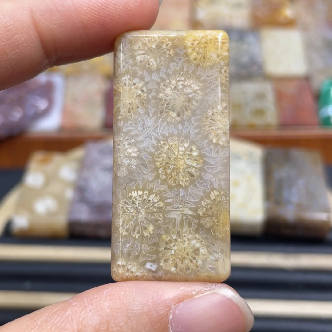 硅化玉未镶嵌颈饰k26