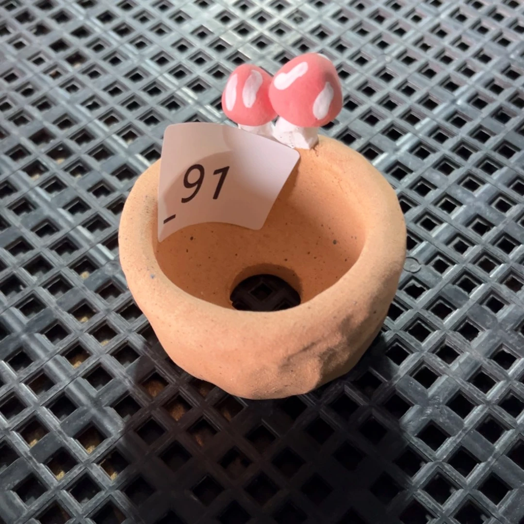 红陶91花盆  1个