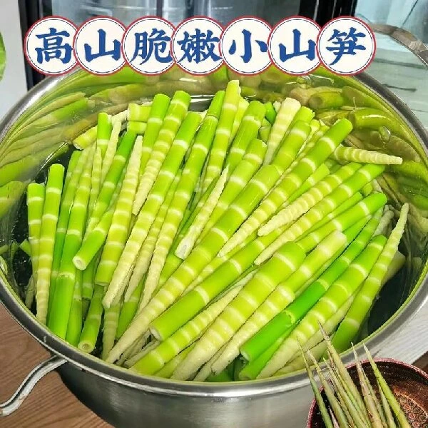 （焯水山笋）湘西大山野生焯水山笋2斤3斤