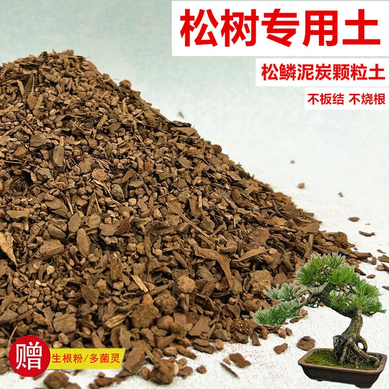 松树专用土花土赤玉土风化土盆栽盆景营养土酸性沙质土种植土