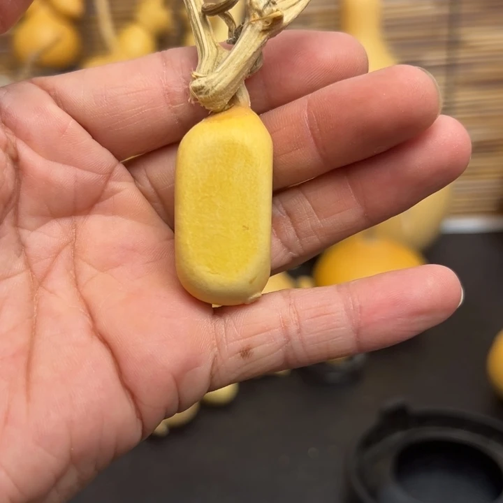 树****?15566699998589