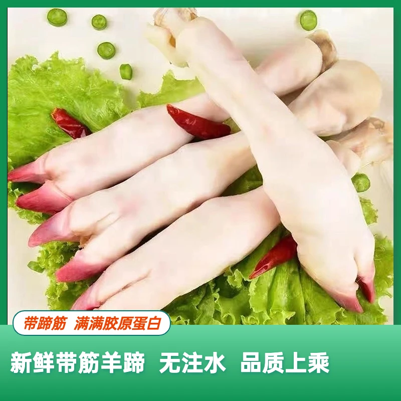 新鲜白羊蹄【拍5斤送3斤】带筋羊蹄生羊蹄麻辣羊蹄卤羊蹄商用批发M1
