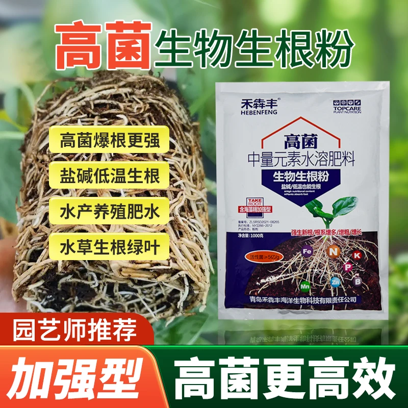高菌生根粉塘口养殖肥水水草爆根绿叶伊乐藻通用生根粉植物营养液