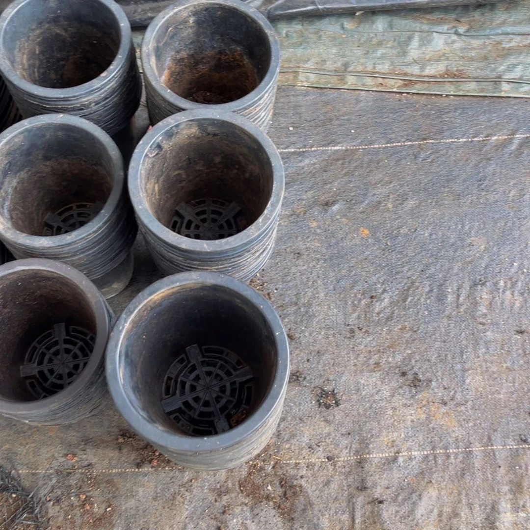 旧17高19 兰花盆10个