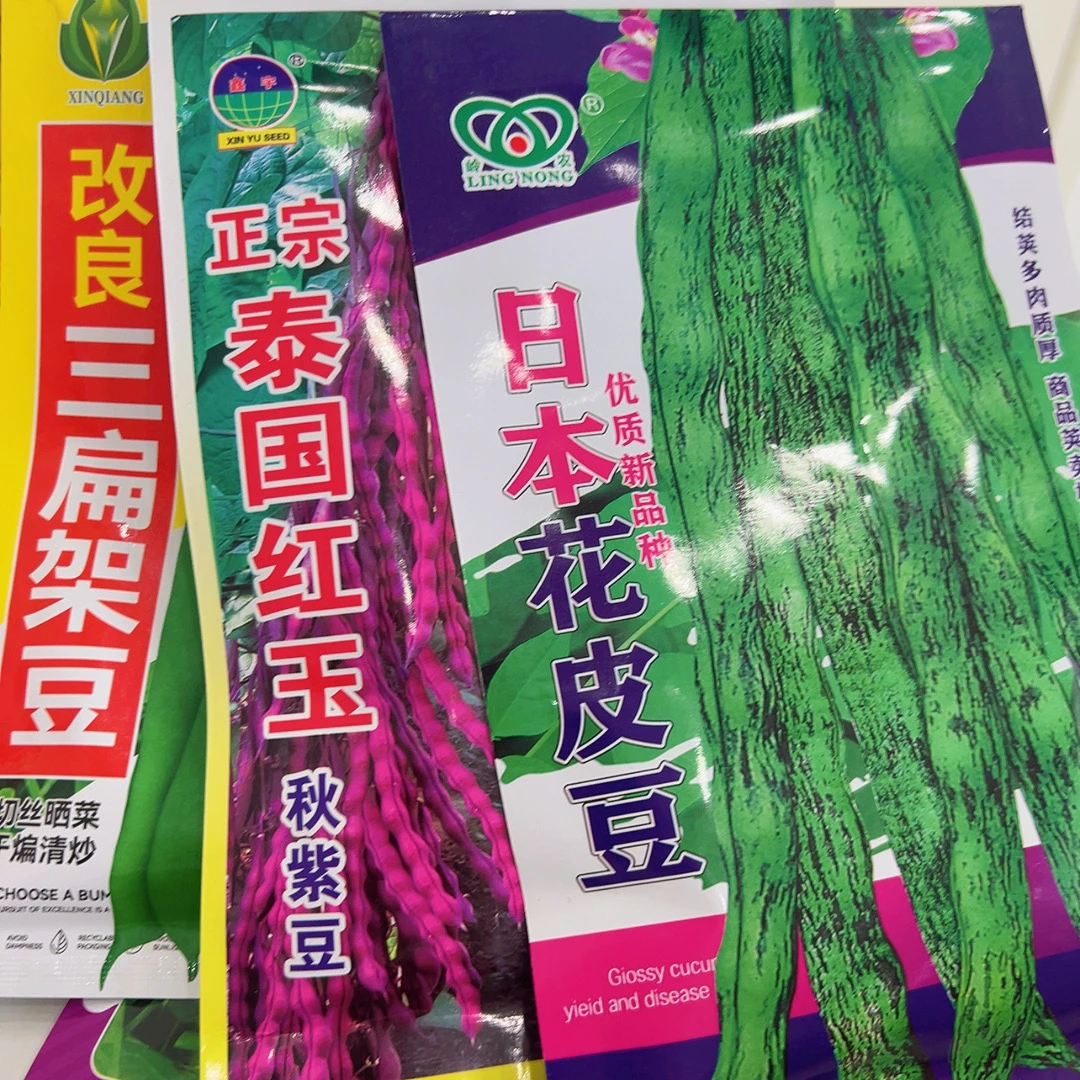 花皮豆，三扁豆，秋紫豆种子