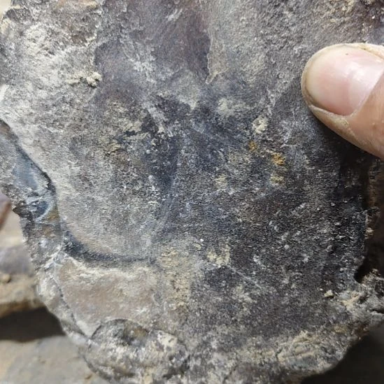 宁***远玛瑙/玉髓未镶嵌原石