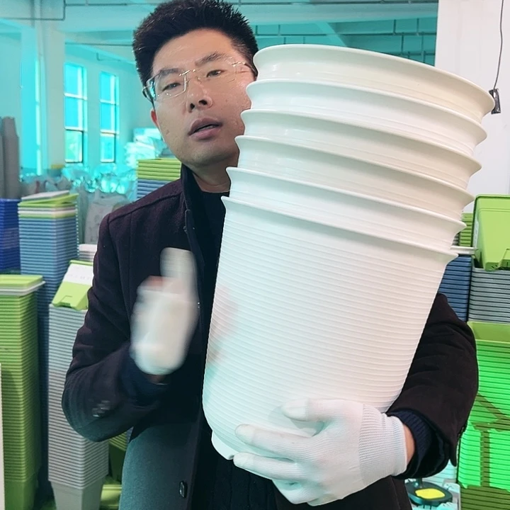 正品高陶口30高31白色5只无托