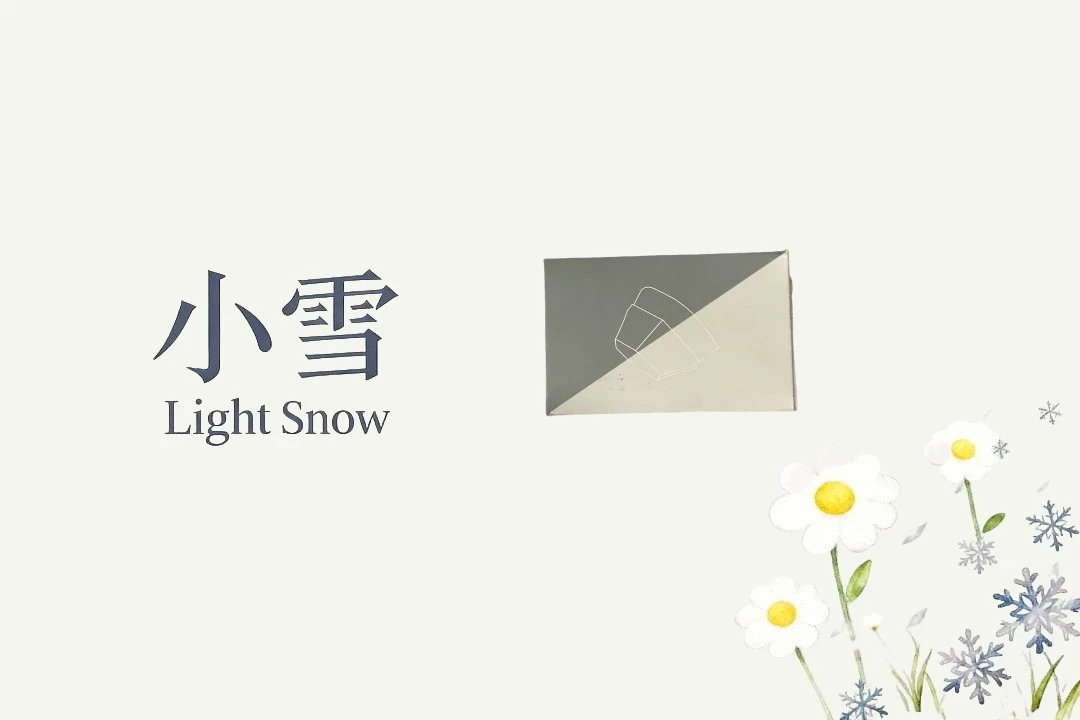 绿白化妆品收纳盒包装盒/听直播介绍/fds