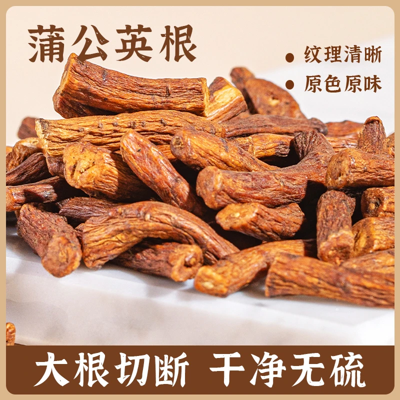 【精选无硫】蒲公英根正宗高品质公英根搭配枸杞泡水泡茶喝养生滋补