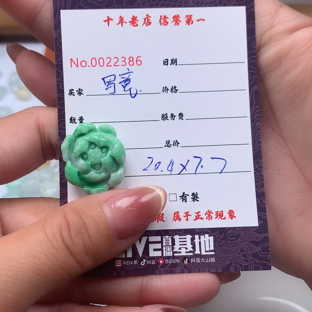 写***生翡翠未镶嵌颈饰122