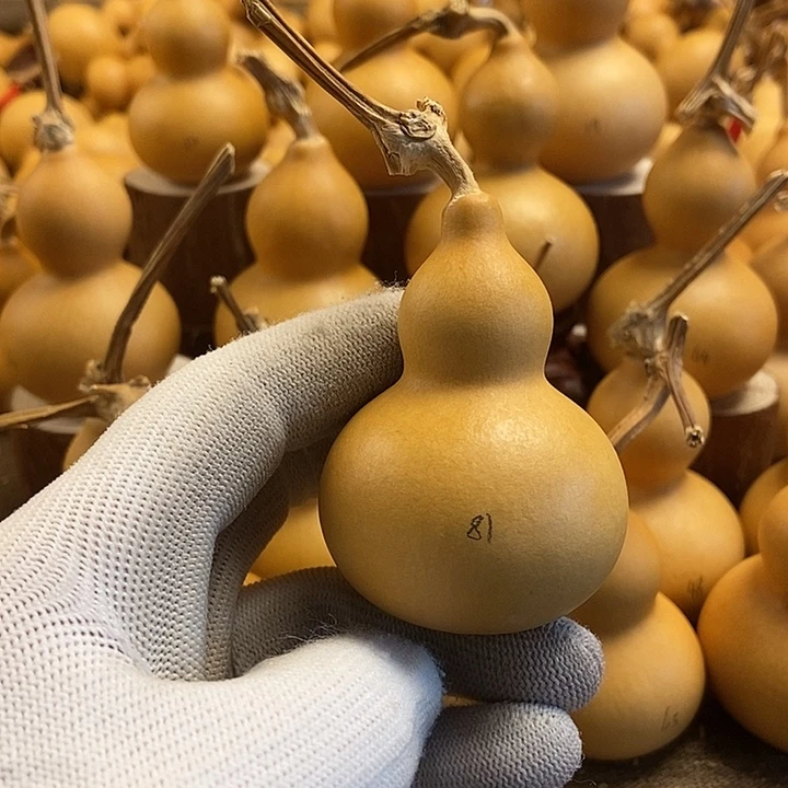 文玩葫芦 完美主义者 慎拍81