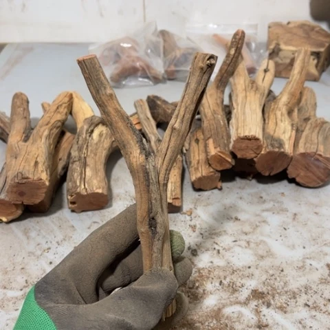 大果紫檀（缅甸花梨）N*