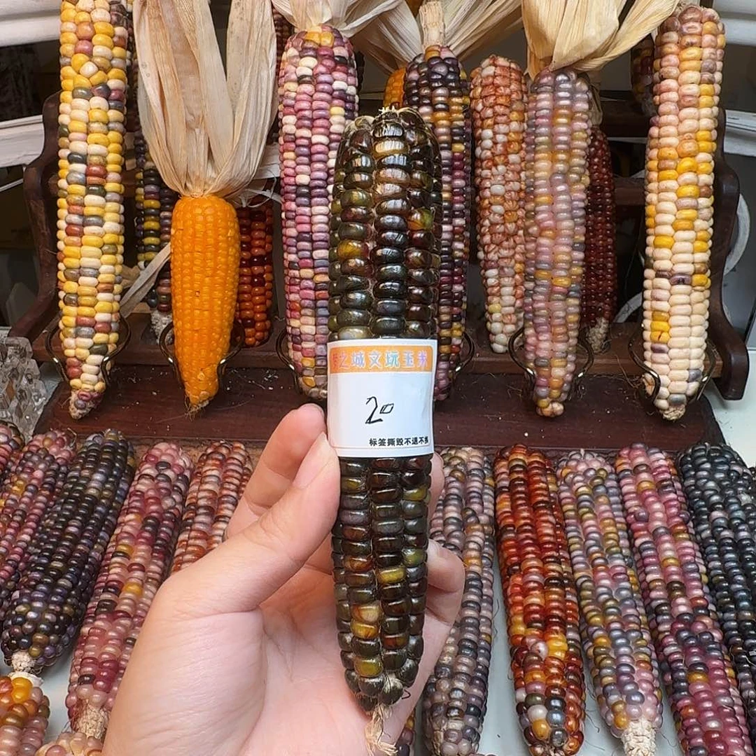玎***玎吊坠柏香籽/百香籽