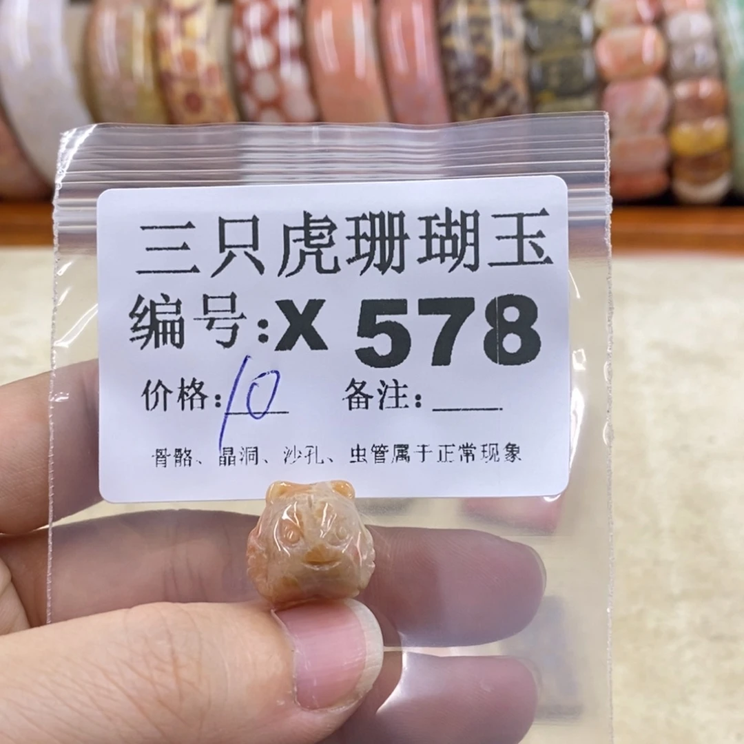 硅化珊瑚（珊瑚玉）1未镶嵌M**O