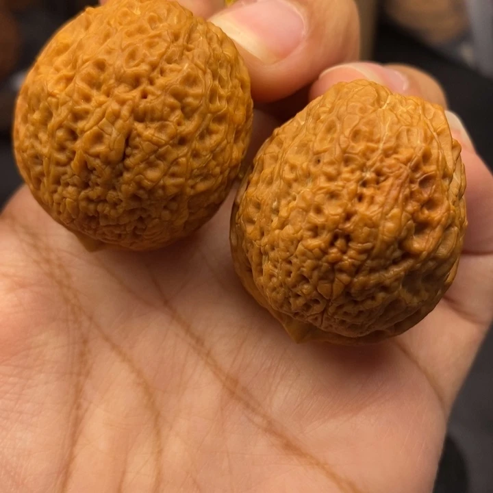 把件文玩核桃39尺密纹元宝