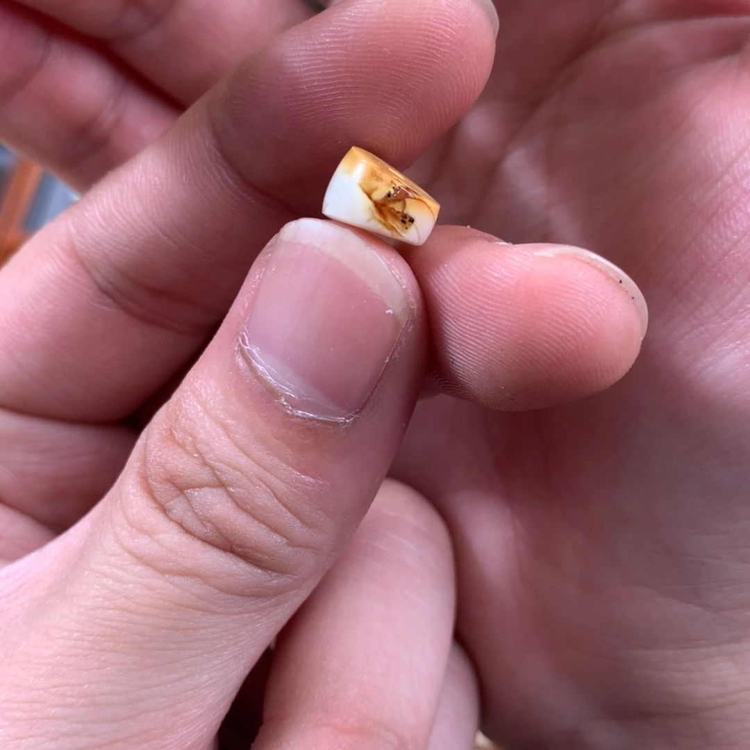 未镶嵌琥珀珠宝奇石