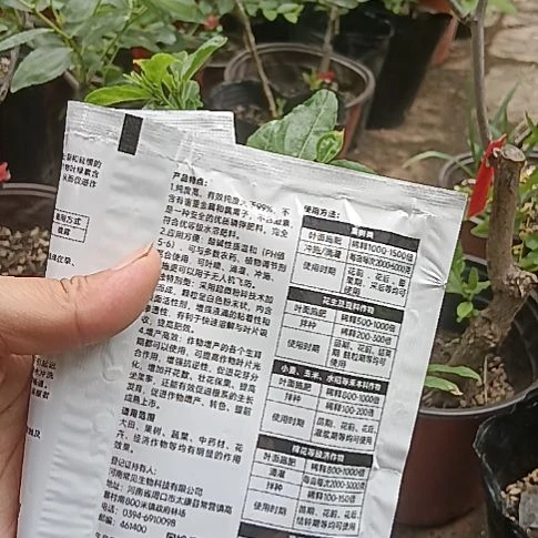 无花朵坐果套餐坐果套餐